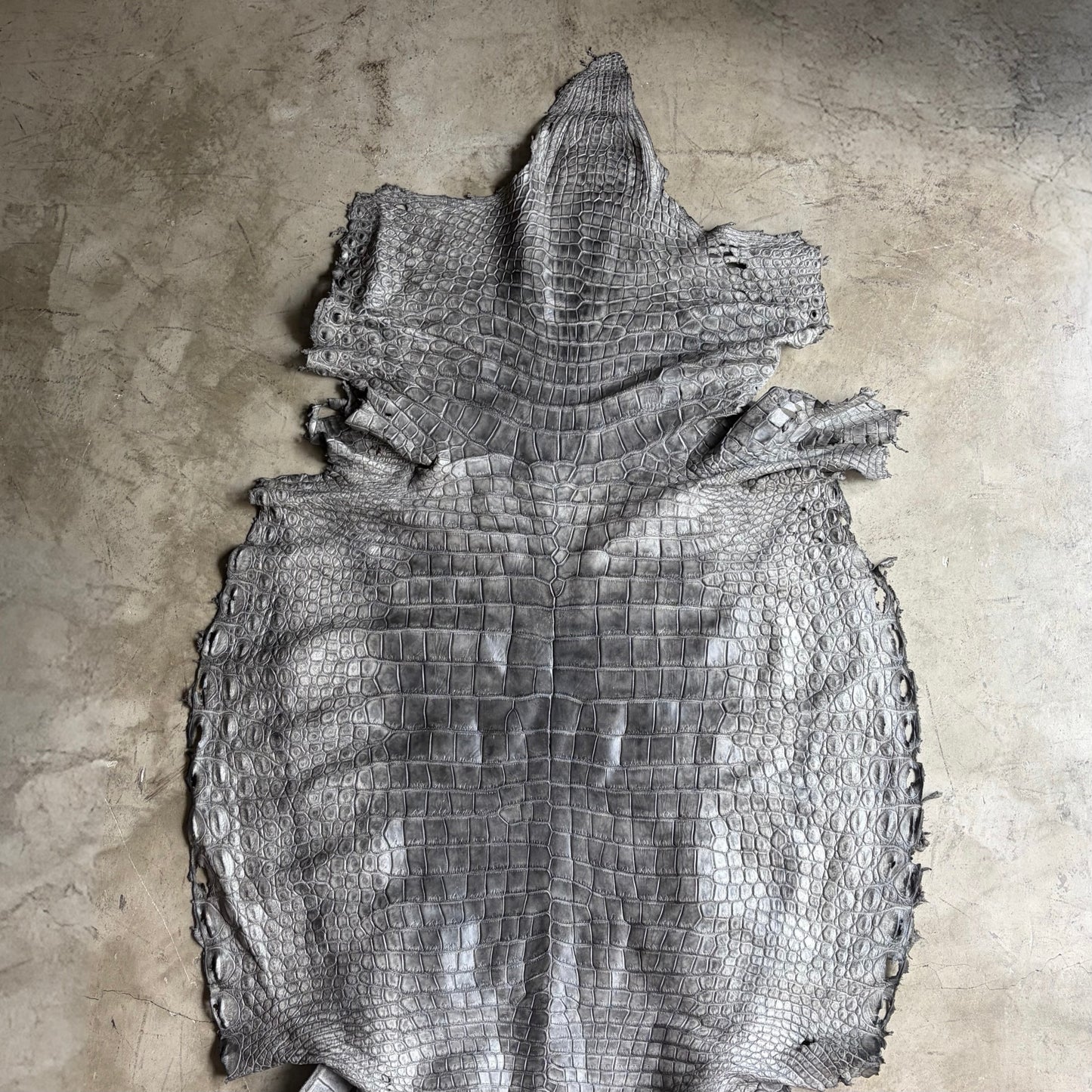 クロコダイルポロサス【墨染め】レザーベルト/ニッケルつや消しバックル -Crocodile Porosus SUMI Leather Belt-