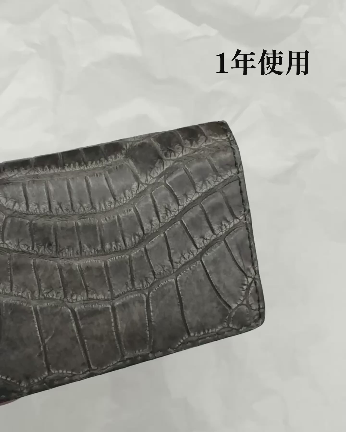 クロコダイル　ポロサス　コンパクトウォレット　ブラック スモールクロコダイル(ポロサス) 二つ折コンパクトウォレット ブラック